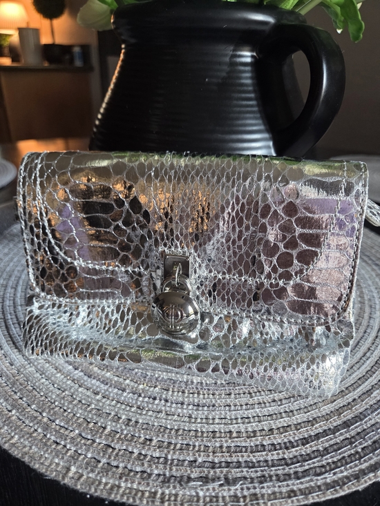 Handbags - Metallic Silver Embossed Snake-Effect Women’s Clutch